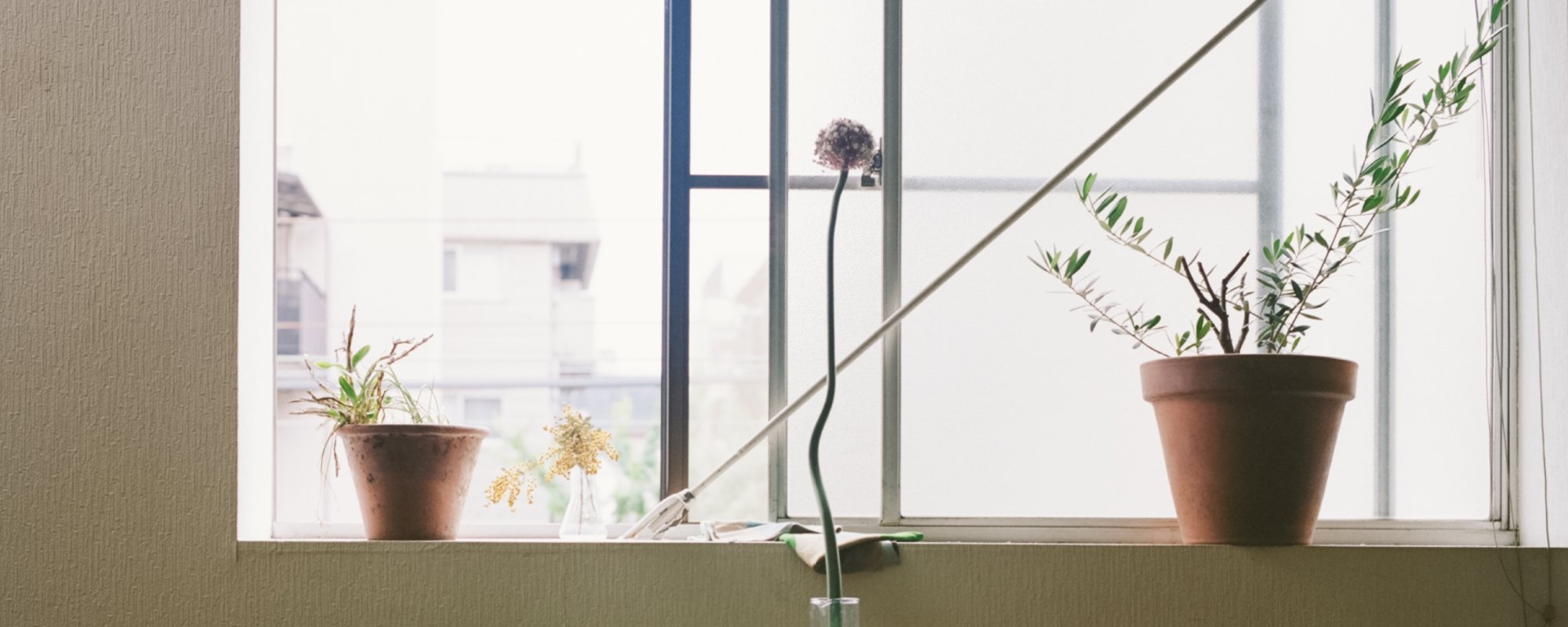 PAMM
– pamm.officialstore