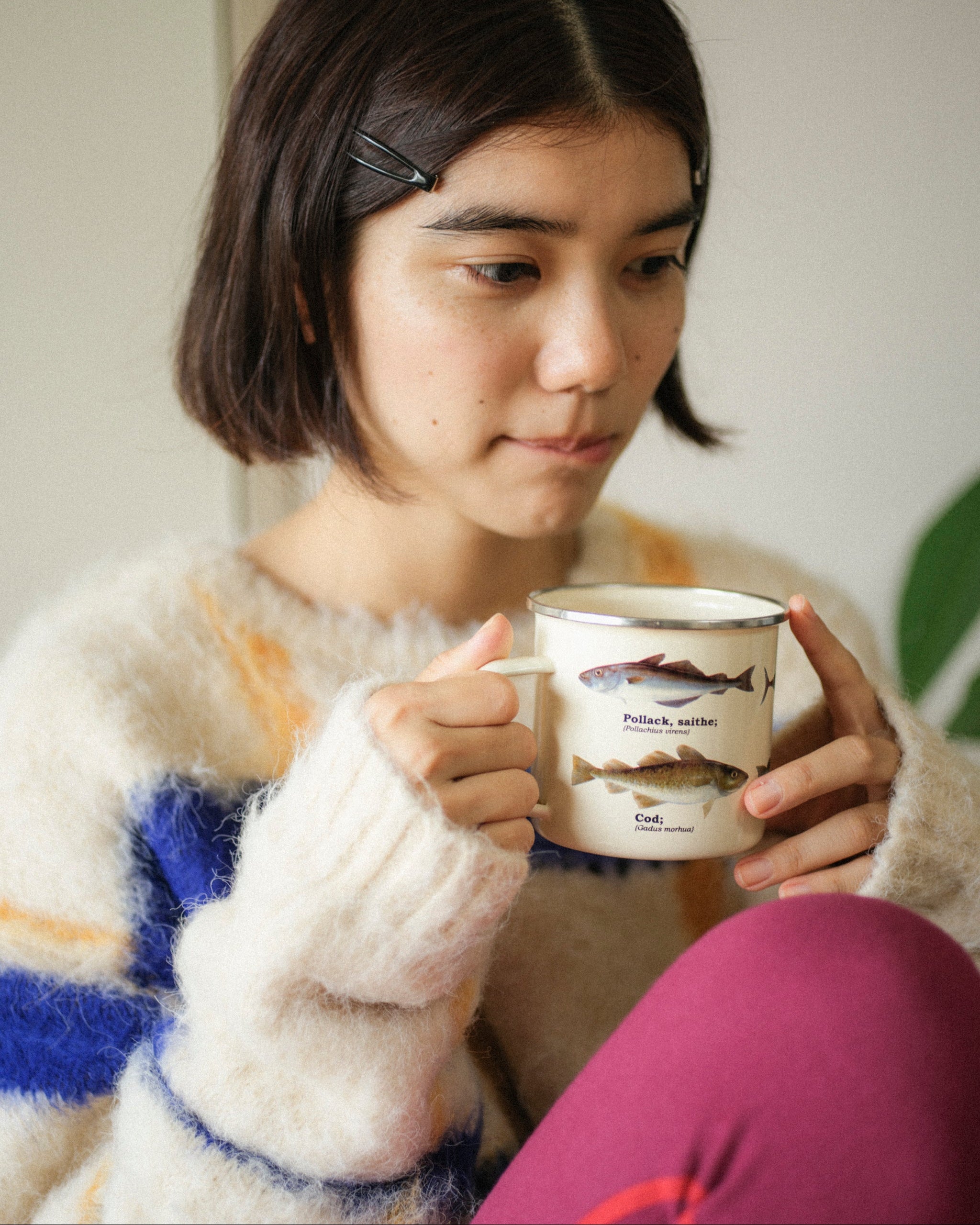 透明な空気のチェックニット – pamm.officialstore